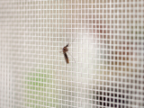 Metallbau Insektenschutz, Fliegengitter Tür, Spannrahmen Insekt Schutz